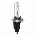 HID Xenon Bulbs H7T  1