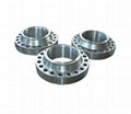China Flanges for sale 5