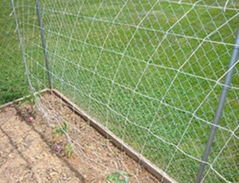 Nylon Trellis Netting Supports Plant Grow Vertically