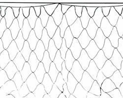 Gill Netting - Effective Way to Catch Fishes