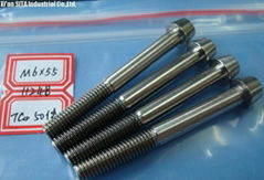 Titanium screws