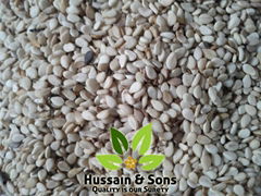 Sesame Seeds