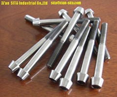 Titanium screws