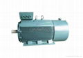 Y3 Series Low Voltage High Power Three Phase Induction Motors 1