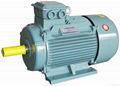 LE3(YE2) Series (GB3  IE2) High Efficiency Three Phase Asynchronous Motor