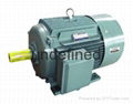 YD2 Series Pole-Changing multi-speed three-phase induction motors 