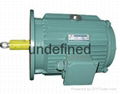 Y2 Series Three Phase Induction Motors