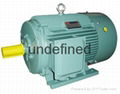 Y2 Series Three Phase Induction Motors 3