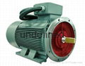 Y2 Series Three Phase Induction Motors 4