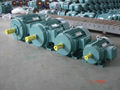 YE3 Series (IE3, GB2) Premium Efficiency Three Phase Motors 5