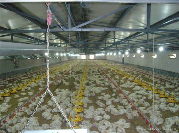 Chicken Farm House Ready Made 4