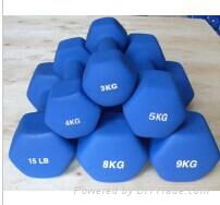 Fixed Weight Hex Neoprene Coated Dumbbell