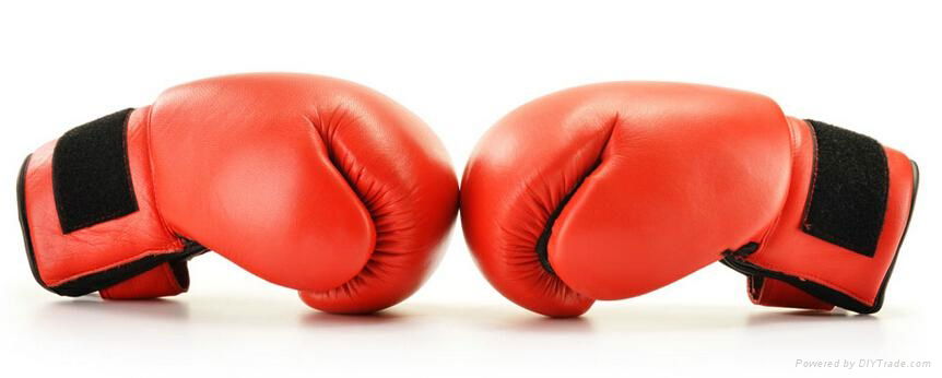 Leather Boxing Gloves 2