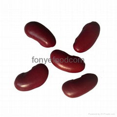 Dark Red Kidney Beans