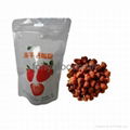 Freeze Dried Strawberry 1