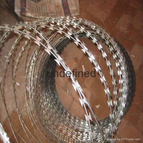 Razor wire concertina coil 4