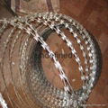 Razor wire concertina coil 4