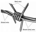 Barbed wire double strand