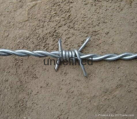 Barbed wire double strand 2