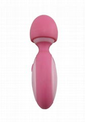 Gemini Mini Vibrator Super Cute USB Charging Vibrating