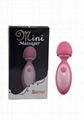   Gemini Mini Vibrator Super Cute USB Charging Vibrating 4