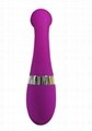  Top Quality New Sex Toys G-spotⅡ vibrator 12 vibrate modes  2