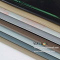 Colorful Tempered Glass 1