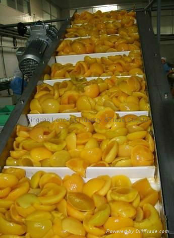 Canned sweet peach yellow peach canned fresh fruit vegetable 4