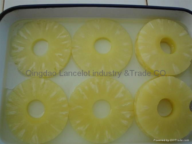 can pineapple on sale from China 2