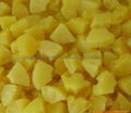 pineapple chunk in tins 3kg in china 4