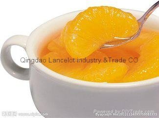 canned mandarin orange in syrup in china