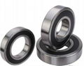 Low Price Deep Groove Ball Bearing From