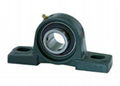 All kind of Pillow Block Bearing 3