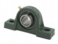 All kind of Pillow Block Bearing 2