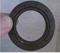 TC/SC high quality NBR/PTFE/PU /VITONeach kind oil seal made in china 1