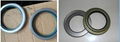 TC/SC high quality NBR/PTFE/PU /VITONeach kind oil seal made in china 3