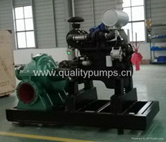 S(H) Series Double Suction Pump