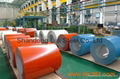 Prepainted Galvanized Steel Coil 1