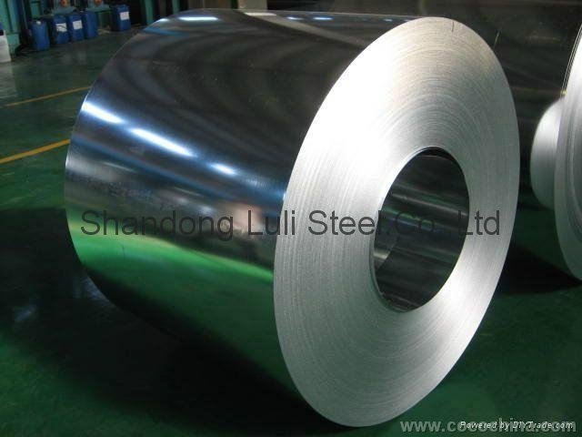 Galvanized Steel sheet/Coi