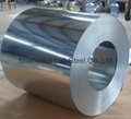 Galvanized Steel sheet/Coi 3