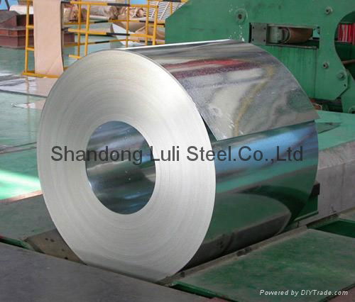 Galvanized Steel sheet/Coi 4