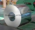 Galvanized Steel sheet/Coi 4