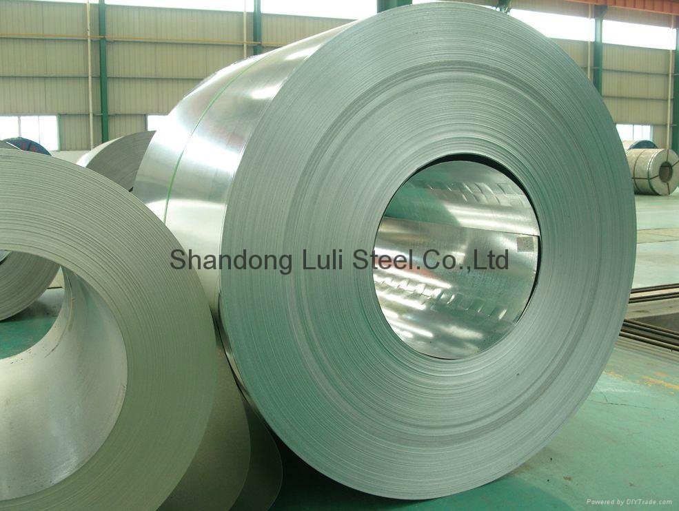 Galvanized Steel sheet/Coi 5