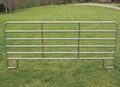 Heavy duty steel horse panels enclose and protect horse 1