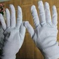 Wedding Gloves 1