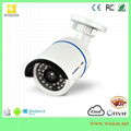popular on Android or iphone remote view 1 Megapixel fisheye IP security camera