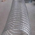 Concertina Razor Wire