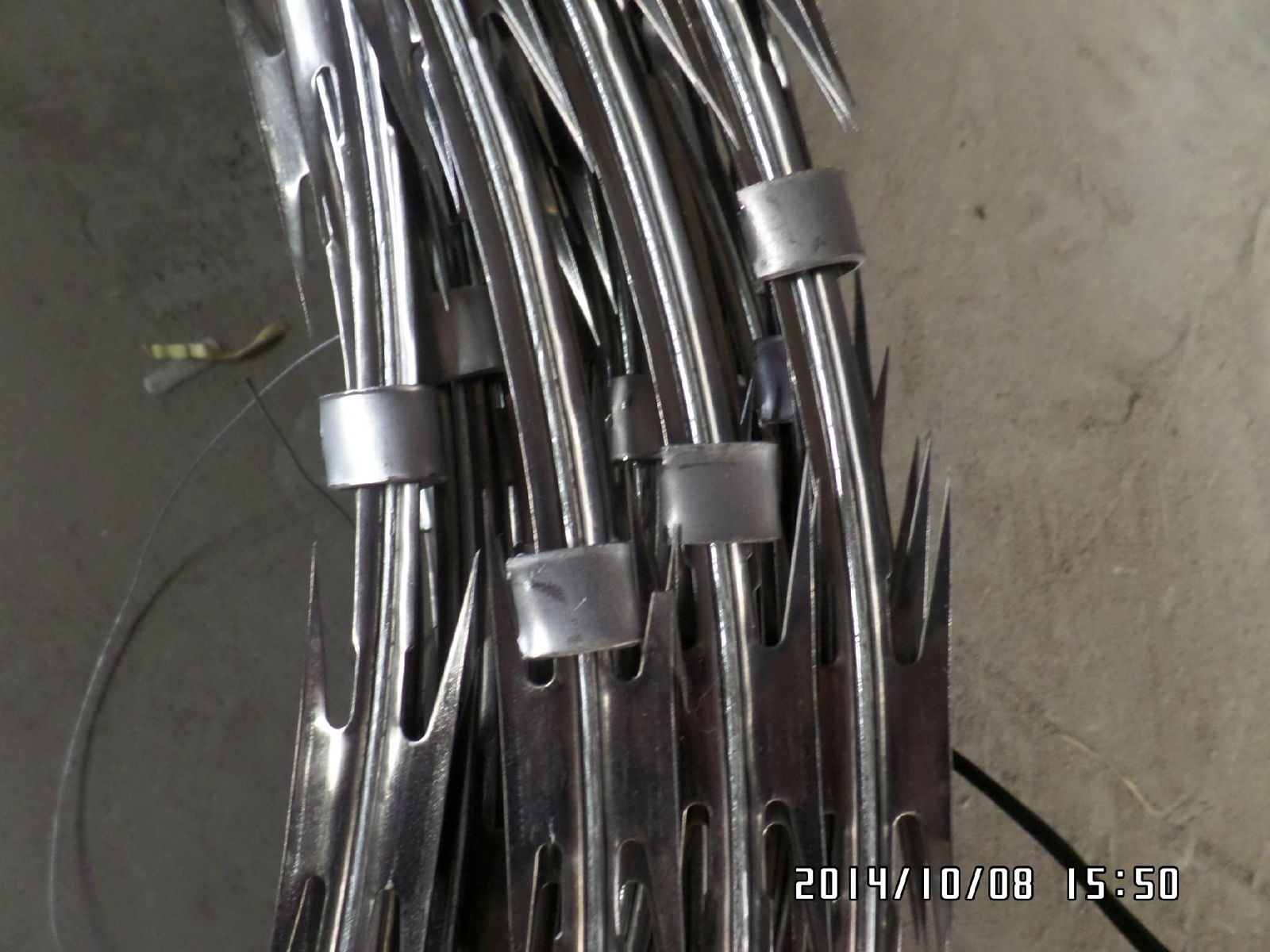 Stainless Steel Razor Wire 2