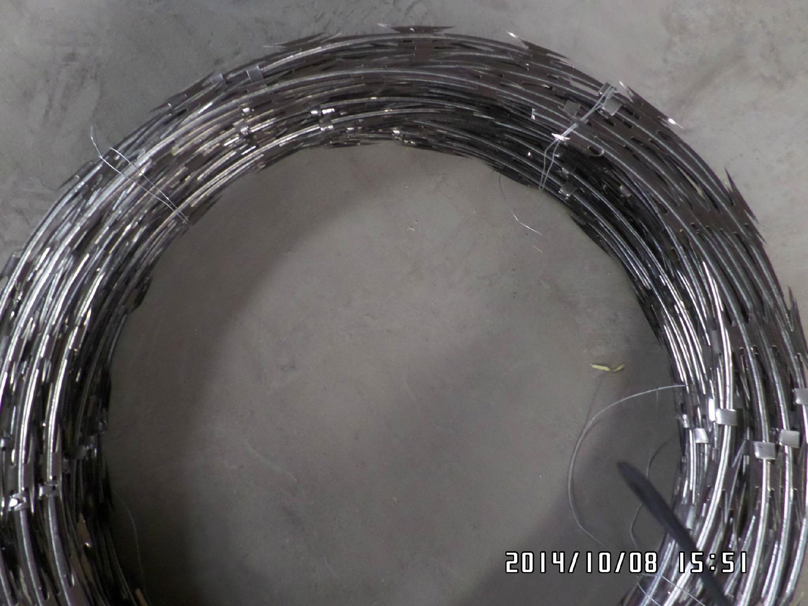 Stainless Steel Razor Wire 5