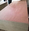 Commerical Plywood